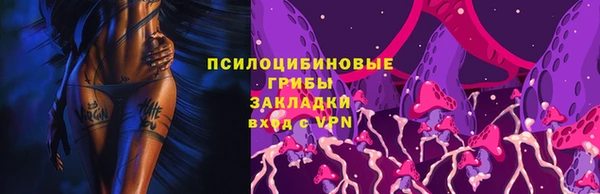 ГАЛЛЮЦИНОГЕННЫЕ ГРИБЫ Абинск