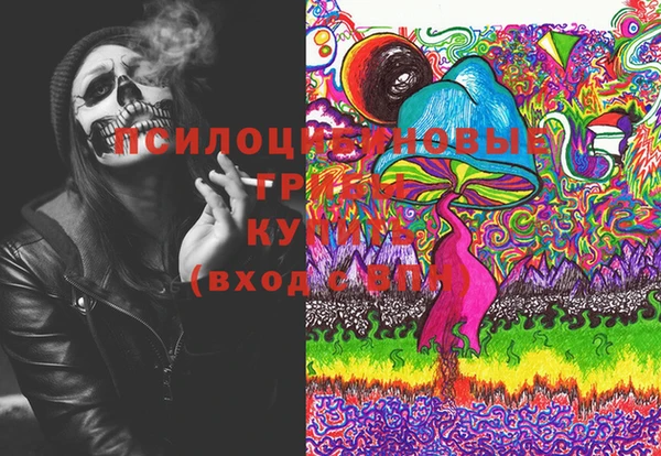 ГАЛЛЮЦИНОГЕННЫЕ ГРИБЫ Абинск